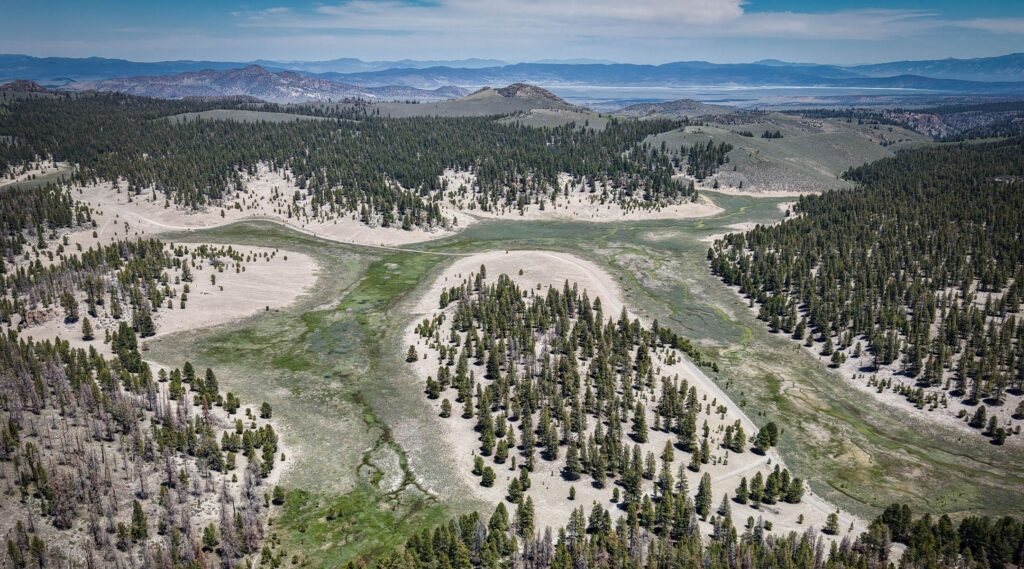 Glass Mountain Meadow Restoration