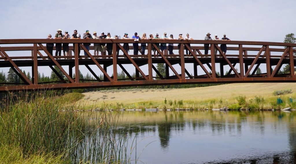 Hat Creek Restoration