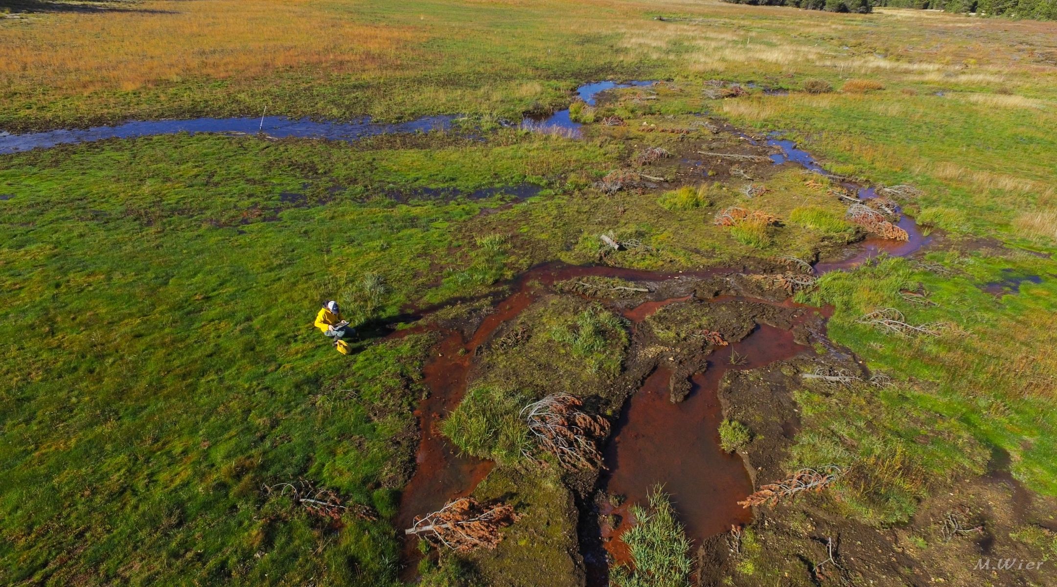 Sierra Meadow Wetland Riparian Area Monitoring Plan