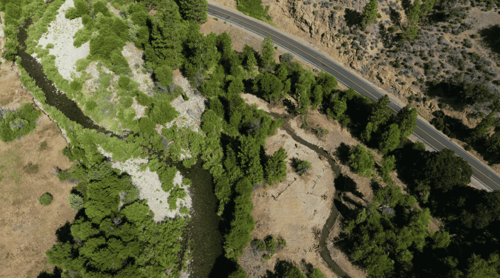 East Fork Scott River Restoration