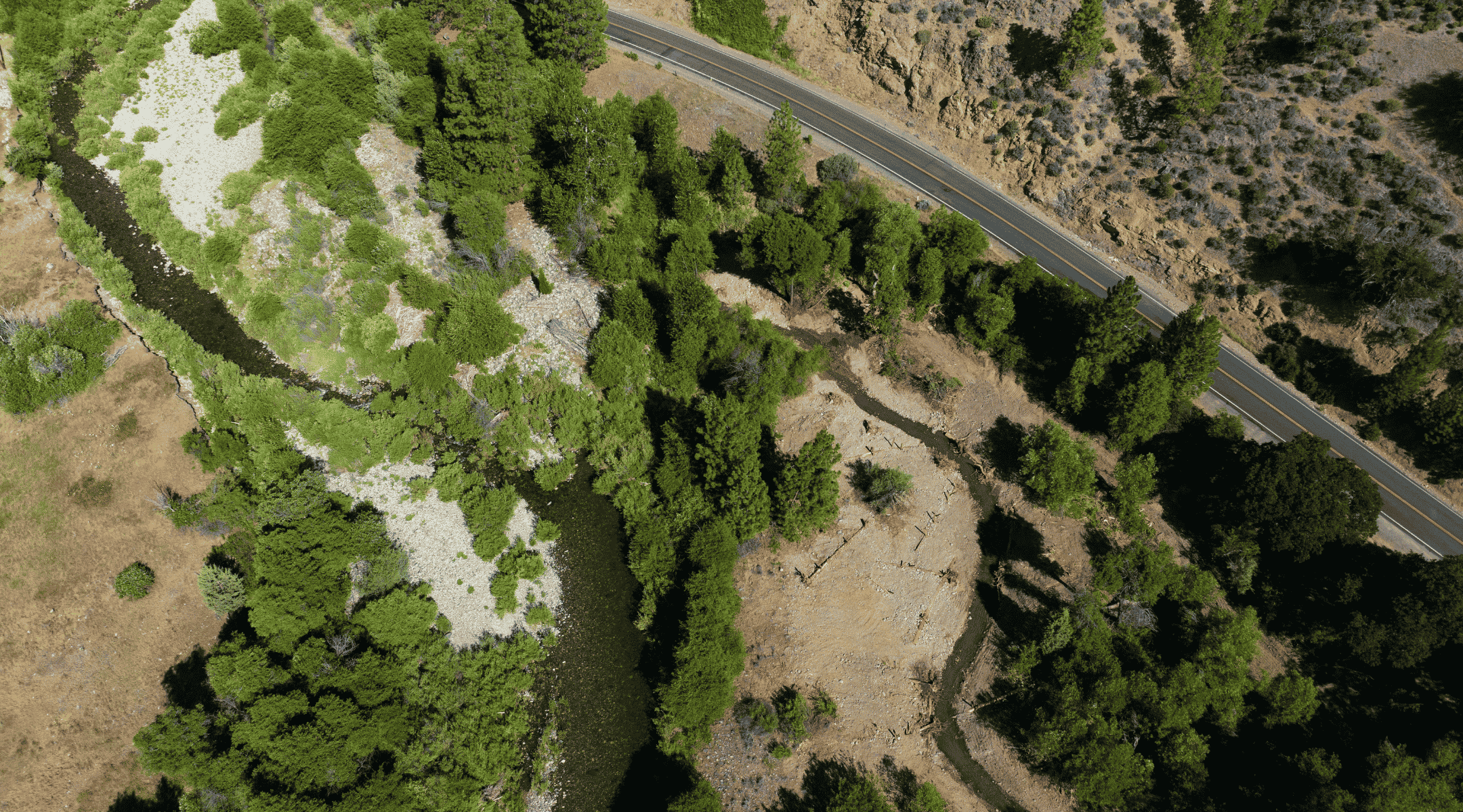 East Fork Scott River Restoration