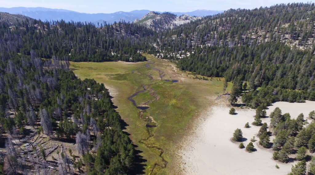 Osa Meadow Research and Restoration