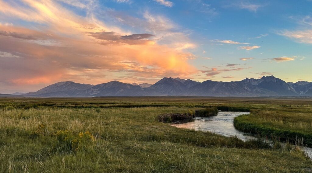 Owens River Protection