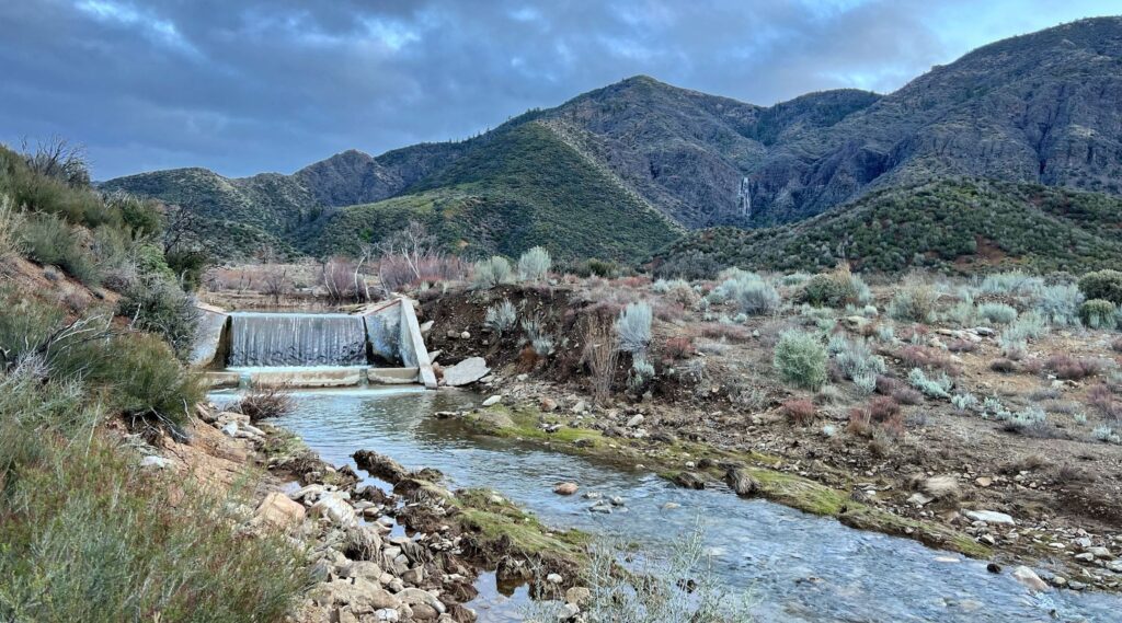 Rose Valley Creek Stream Restoration Project