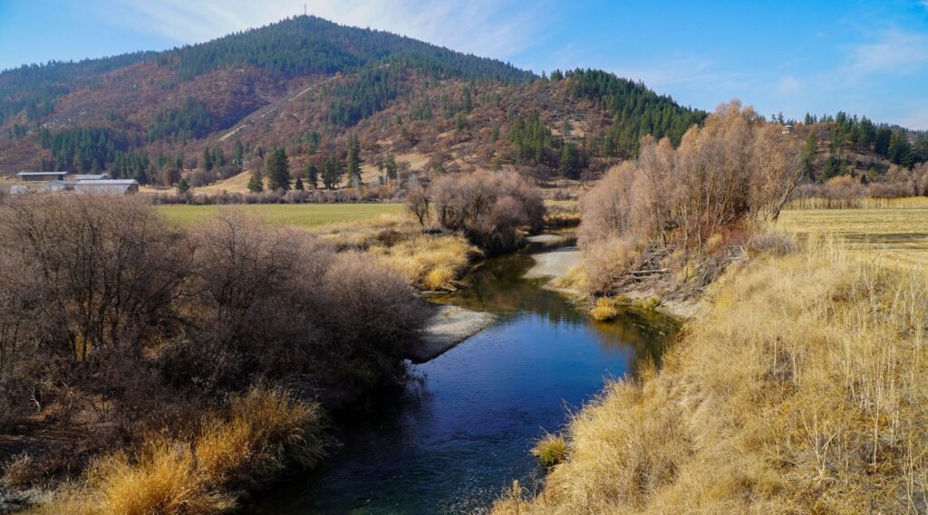 Mill-Shackleford, Scott River Bridge Fish Passage Project