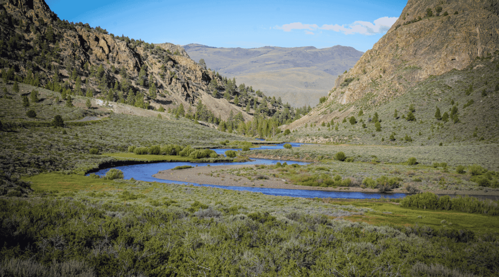 Lahontan Cutthroat Trout Recovery