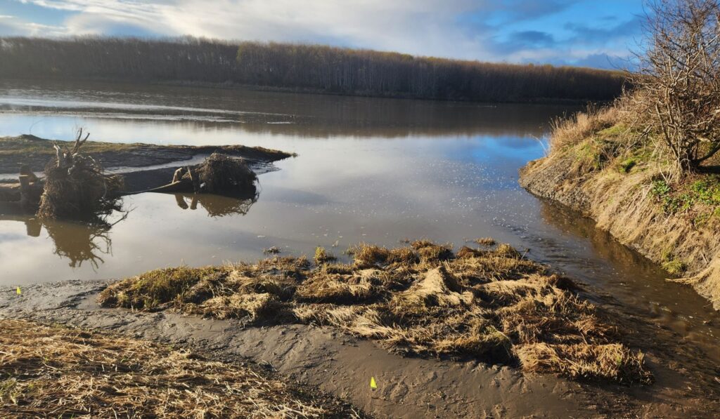 Baduwa’t Estuary Restoration