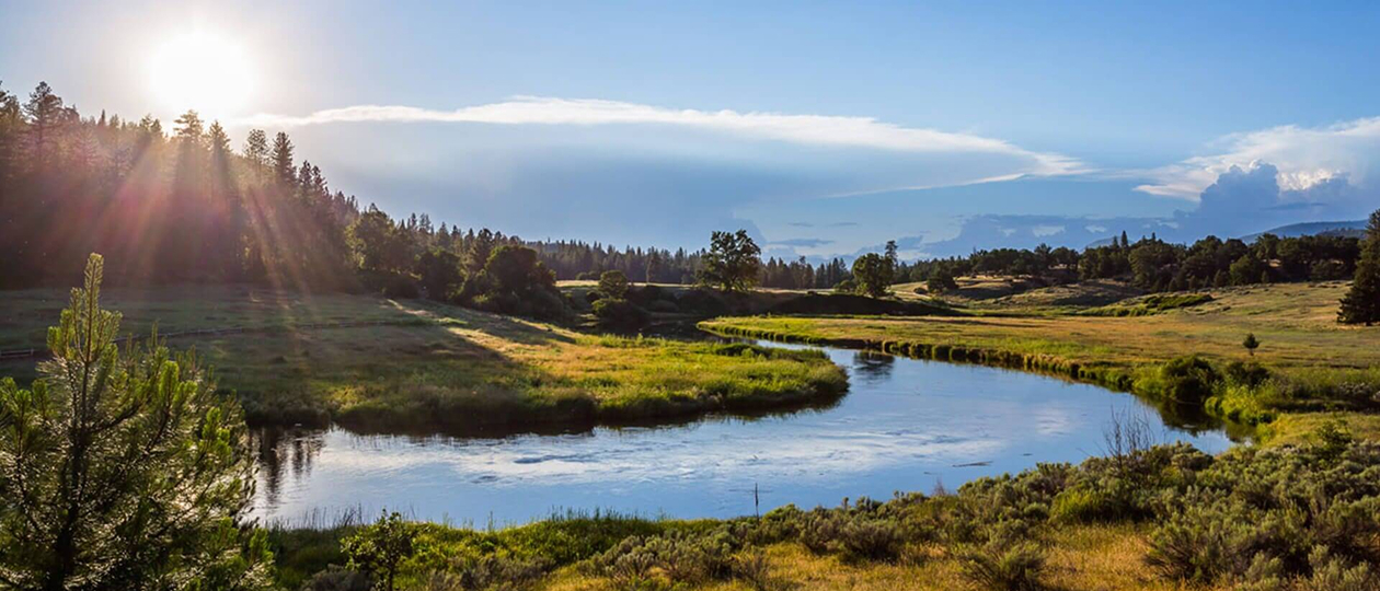 Upper Elk River restoration landscape