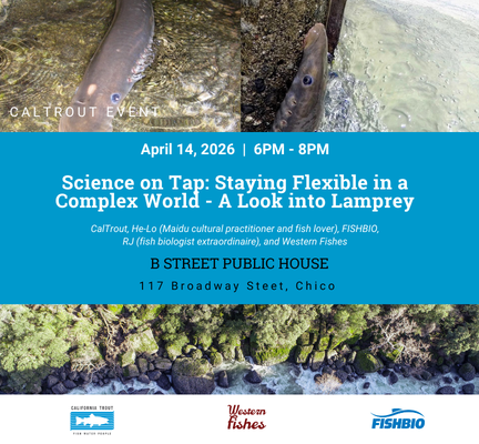 Science on Tap: Staying Flexible in a Complex World – A Look into Lamprey