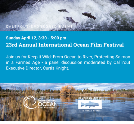 International Ocean Film Fest Panel Discussion – Keep it Wild: from Ocean to River, Protecting Salmon in a Farmed Age