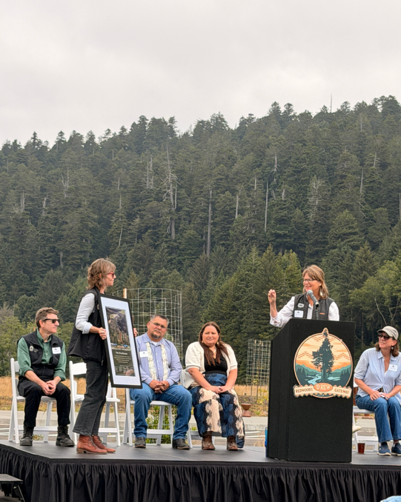 Panelists join Mary Burke onstage at the 'O Rew Redwoods Gateway opening, with a redwood forest behind them