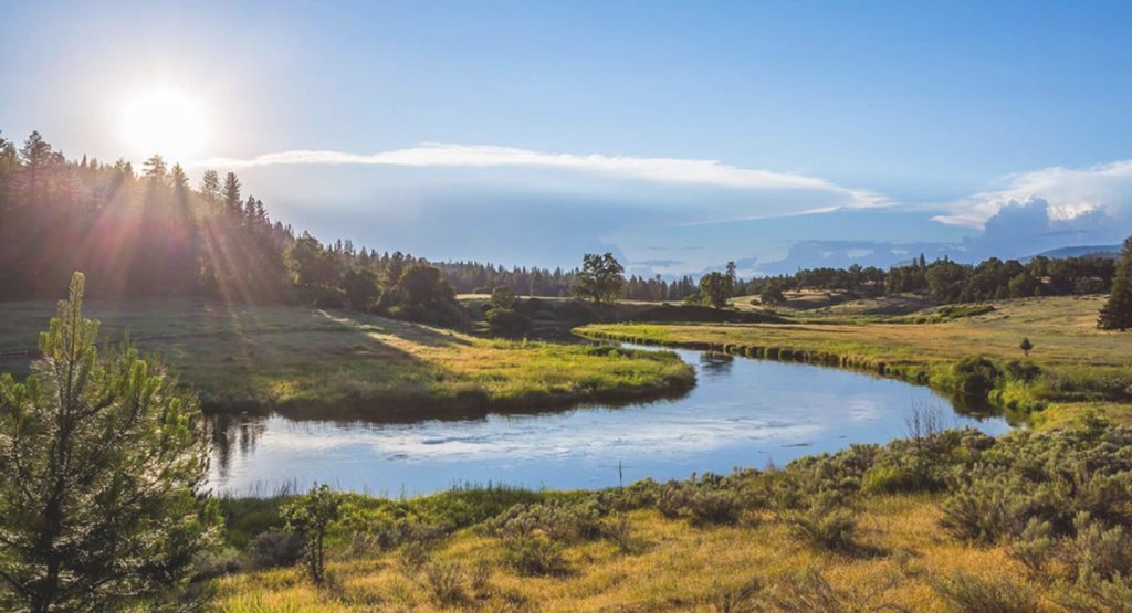 CalTrout Receives Funding from Stewardship Council for Hat Creek Restoration Project