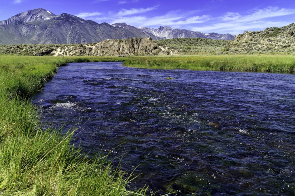 The California Environmental Flows Framework