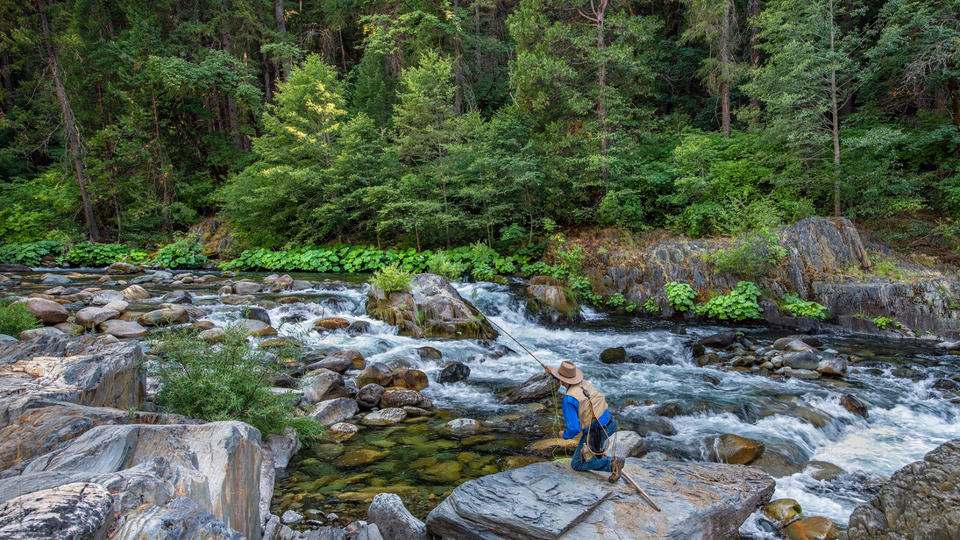 Partner Spotlight: American Rivers