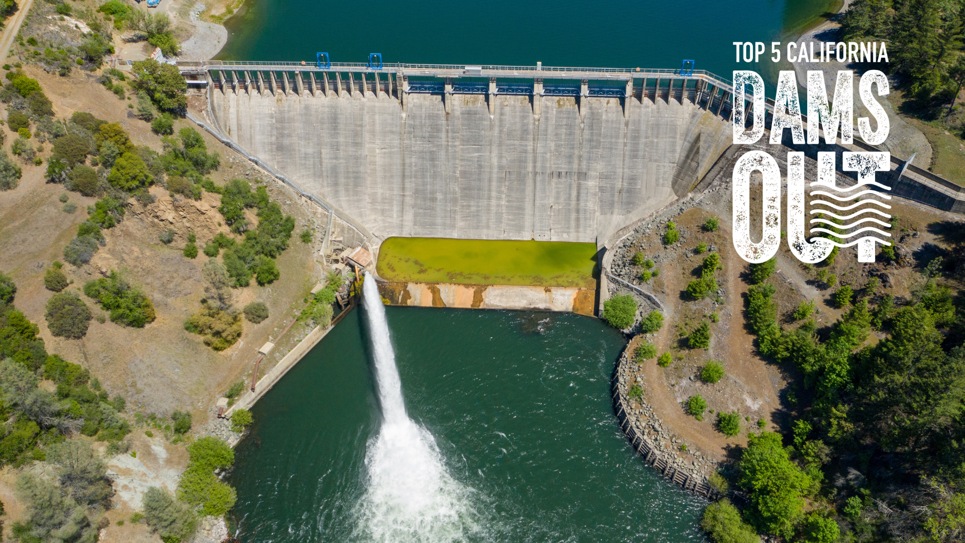 Dams Out: CalTrout’s Top 5