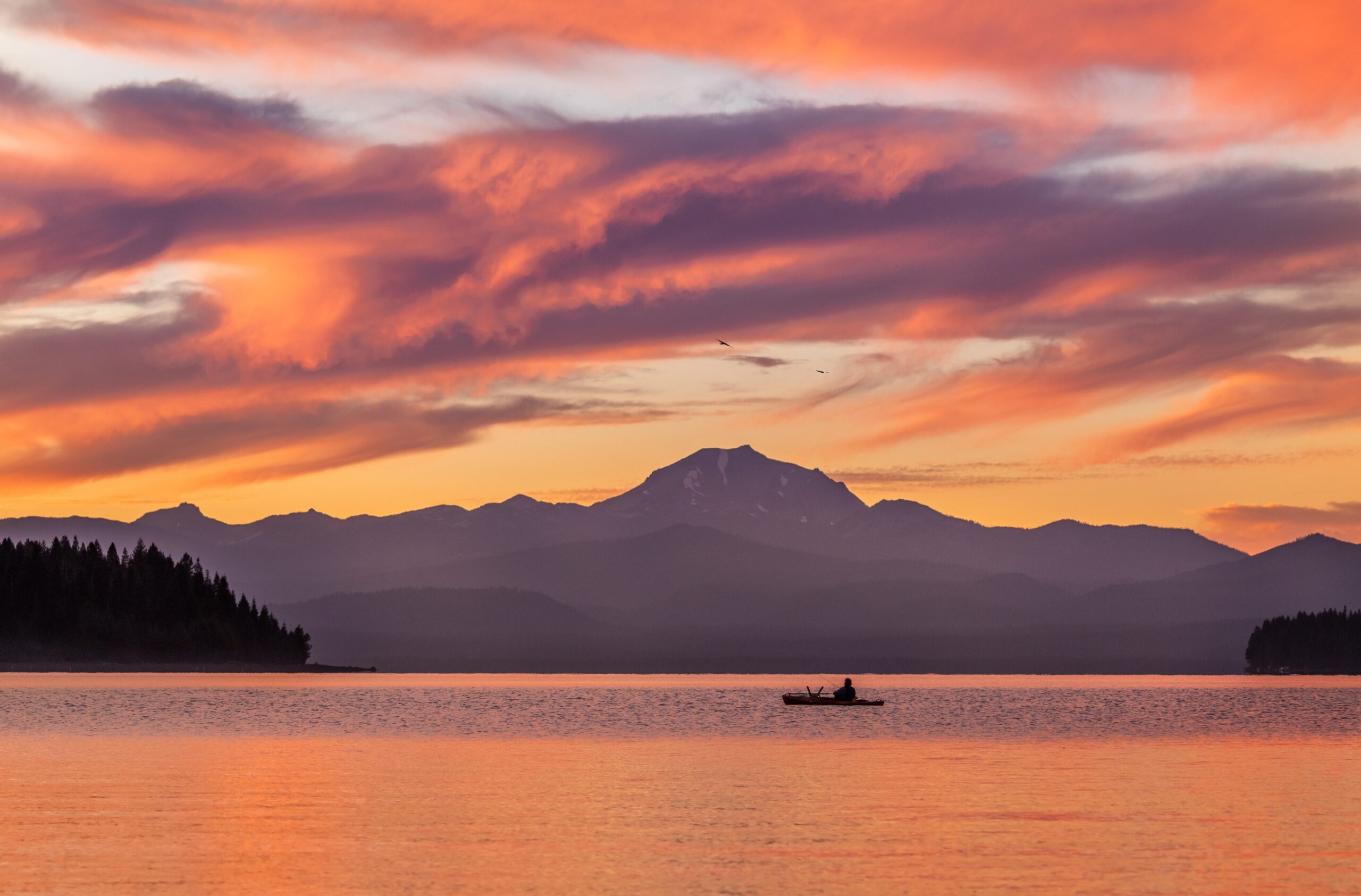 Reflections: 2021 Photo Contest Winners