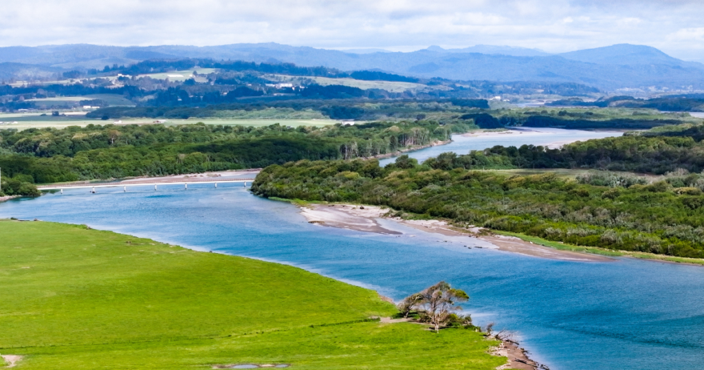 New Funding Marks Major Milestone for Cannibal Island Restoration