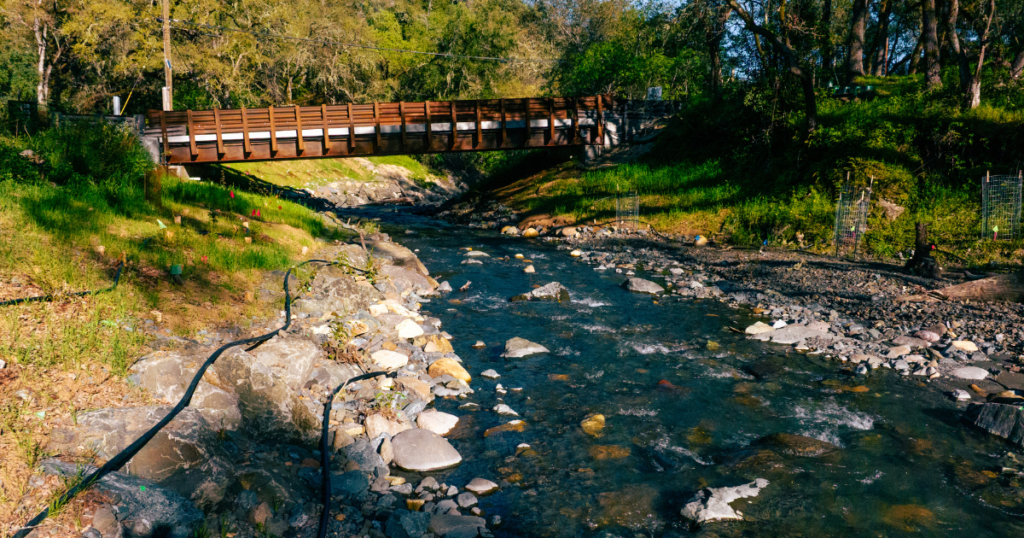 Restoring Fish Passage Through Partnership on Sulphur Creek