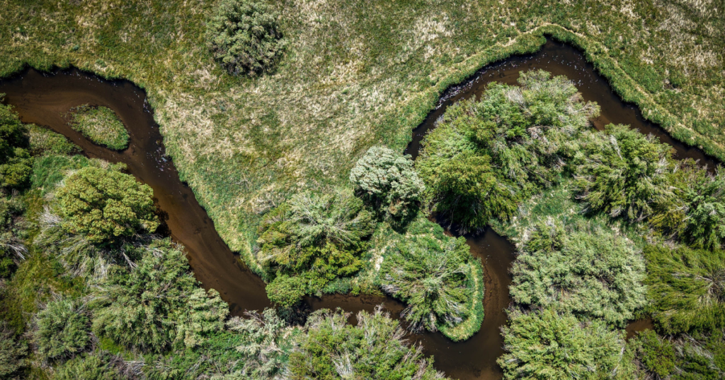 Reimagining Lower Mammoth Creek: A Vision for Restoration and Community