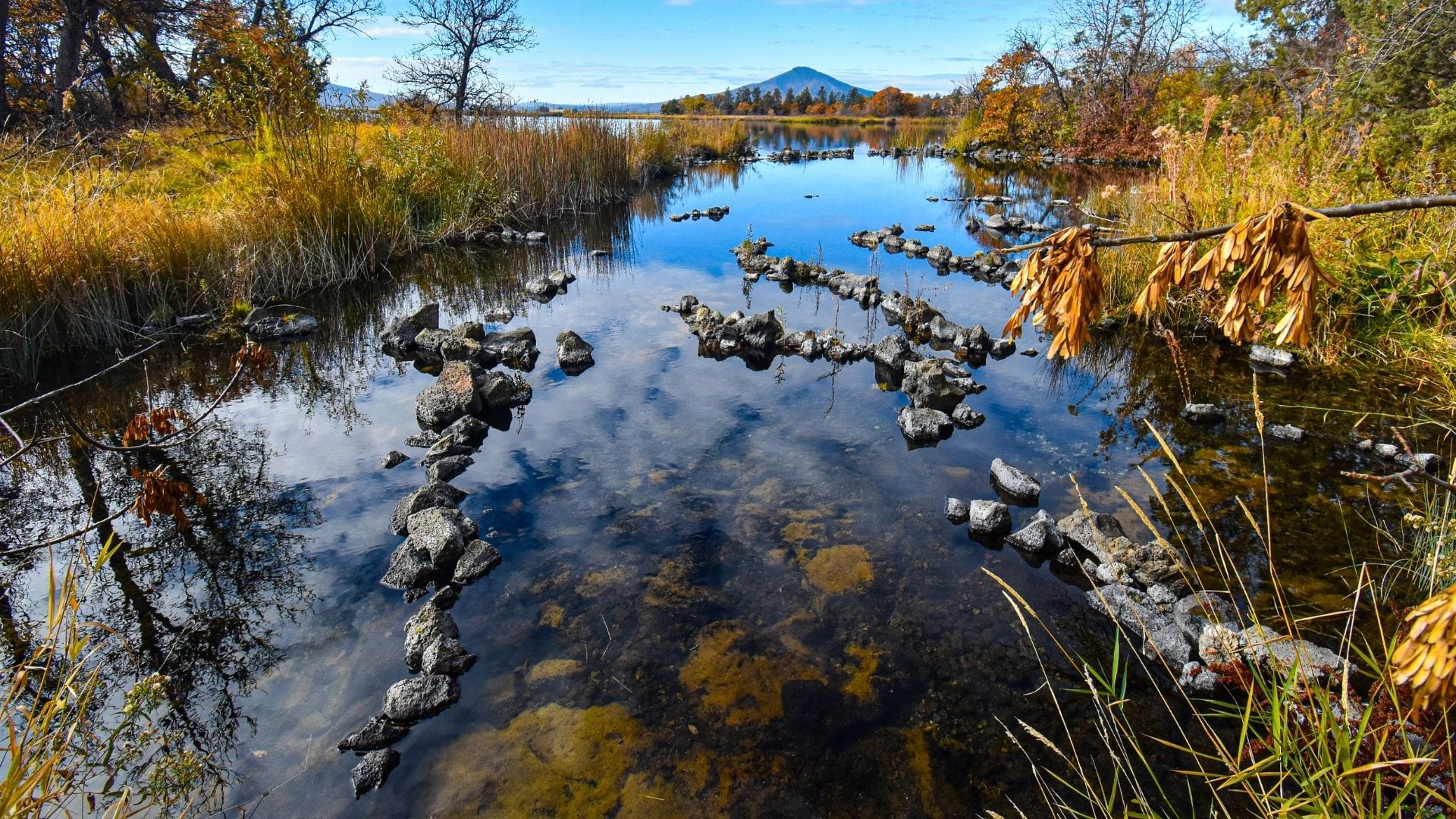 Spot Check: Fall River – The Gem of California’s Natural Springs