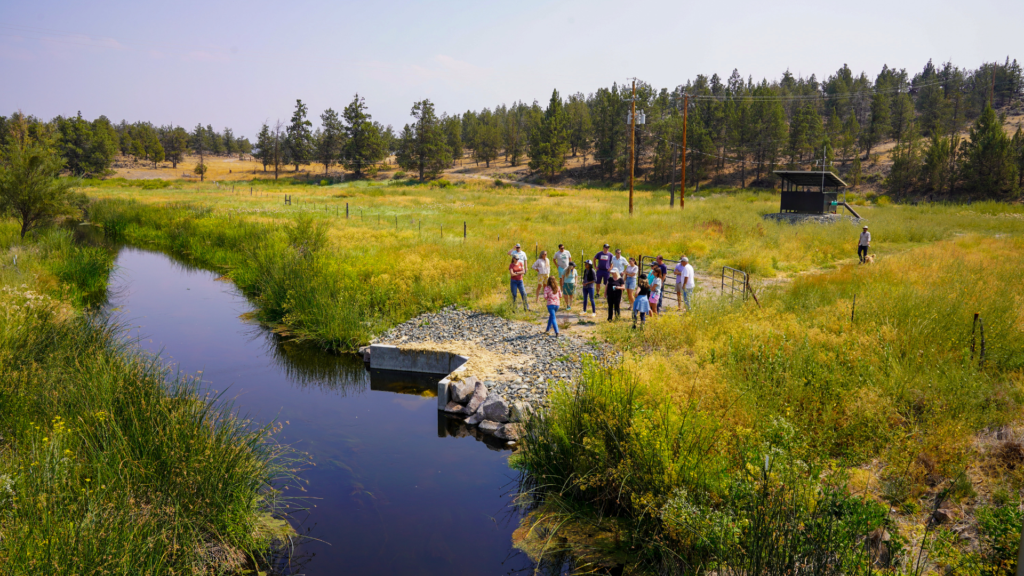 Restoring Shasta River Tributary to Benefit Wild Salmon