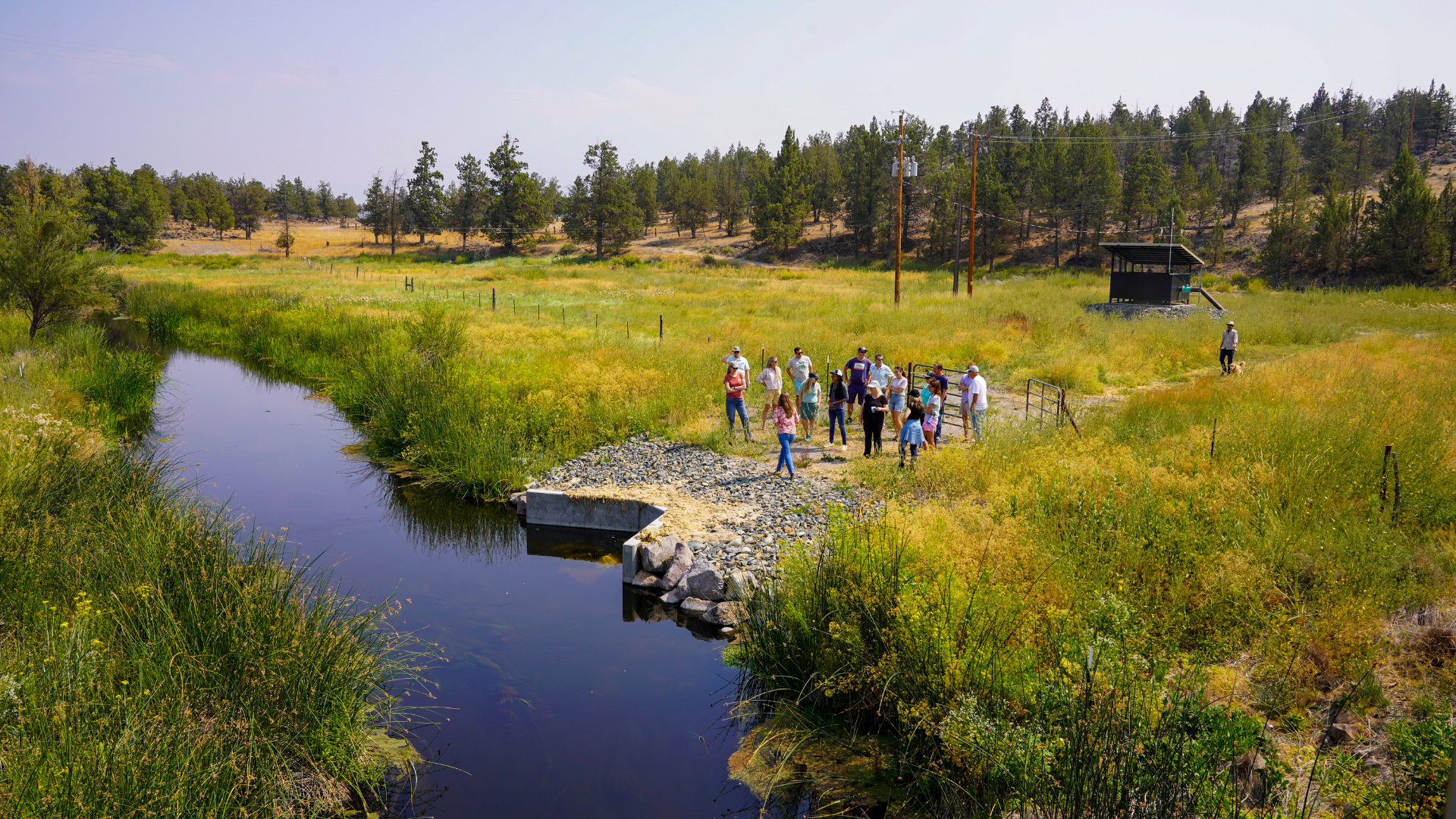 Restoring Shasta River Tributary to Benefit Wild Salmon