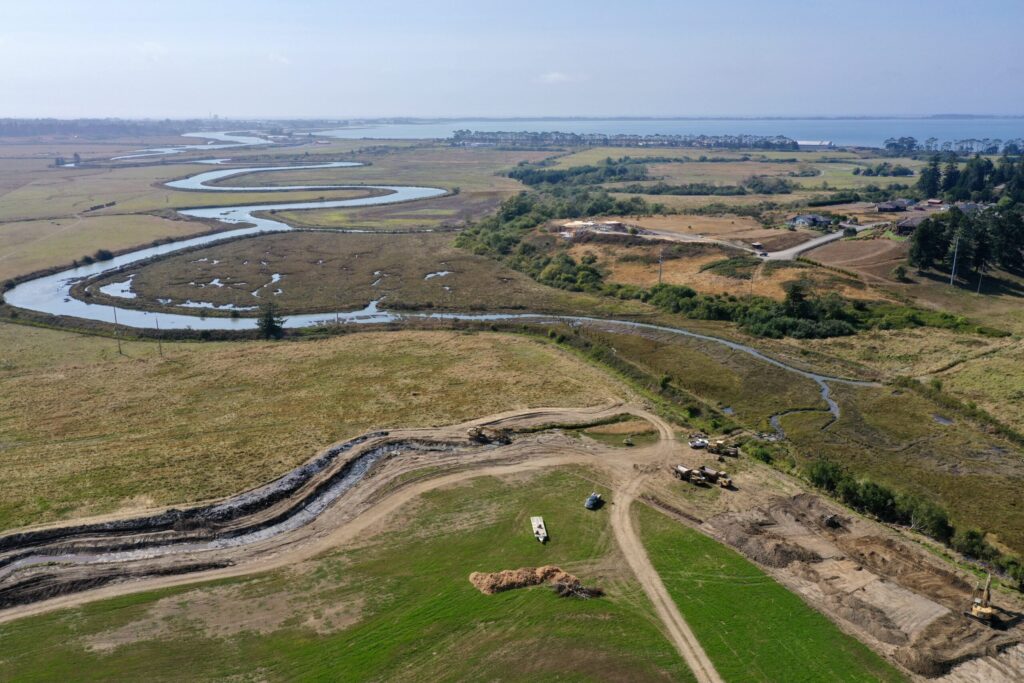 Ecological Restoration of Cochran Creek