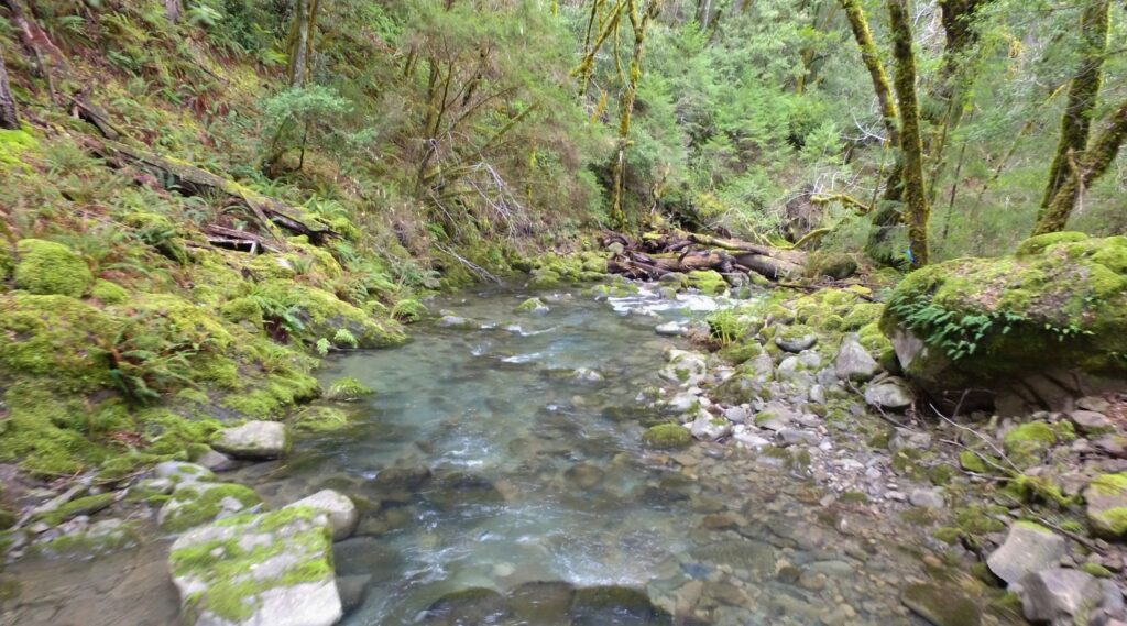 Cedar Creek and Elder Creek Legal Protection