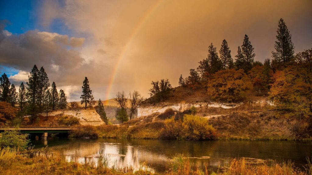 Rewinding Through CalTrout’s History – Videos From The Past
