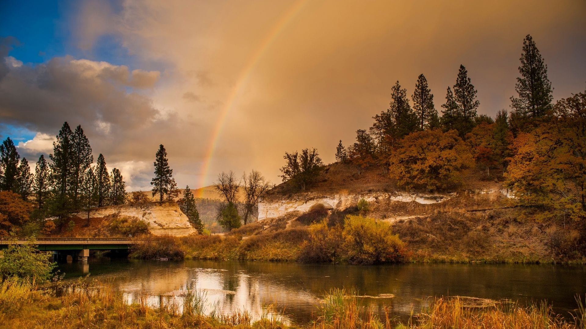 Rewinding Through CalTrout’s History – Videos From The Past
