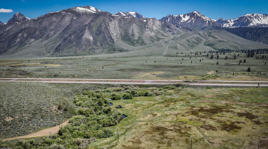 Lower Mammoth Creek Restoration Project