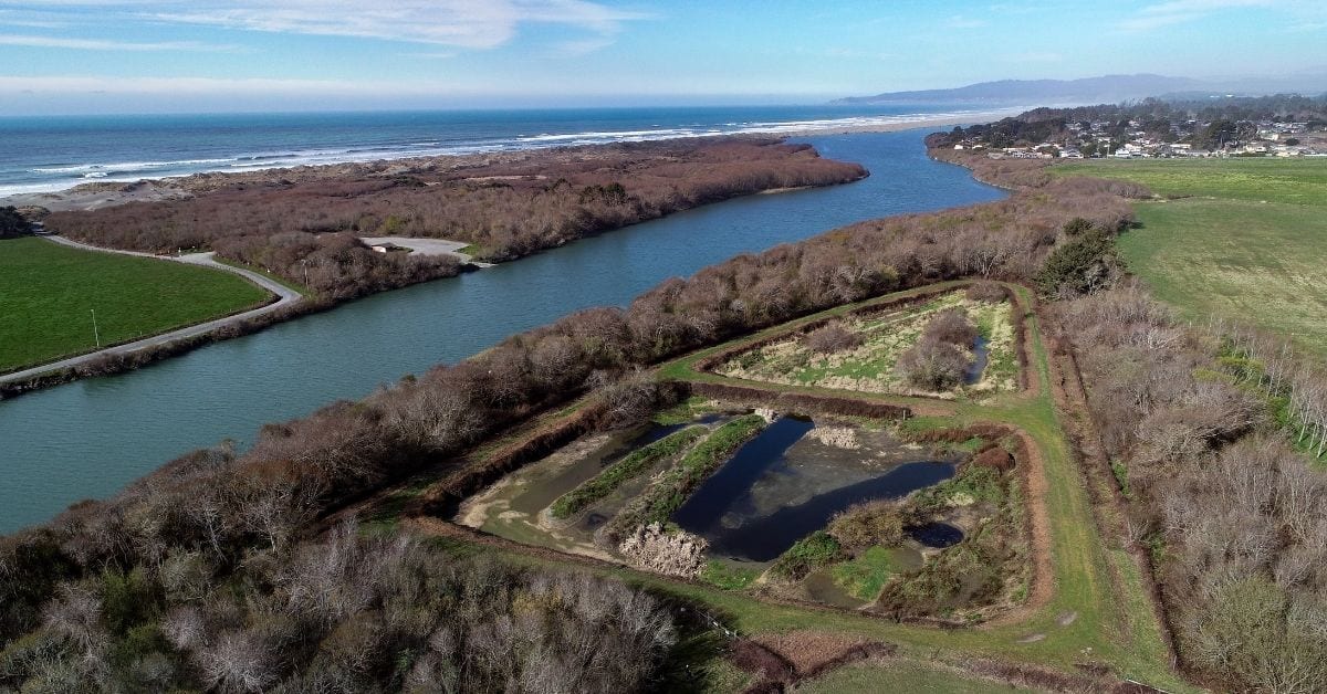 Restoring and Reconnecting the Mad River Estuary