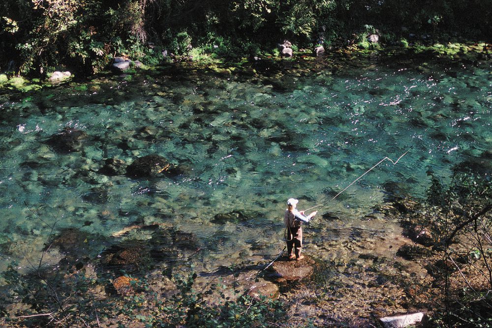 Spot Check: Behind-the-Scenes of CalTrout’s 50th Celebration