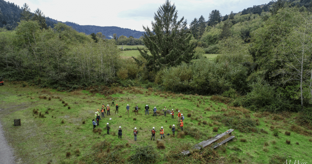 Collaboration in Conservation