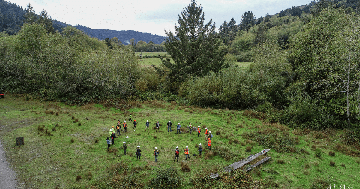 Collaboration in Conservation