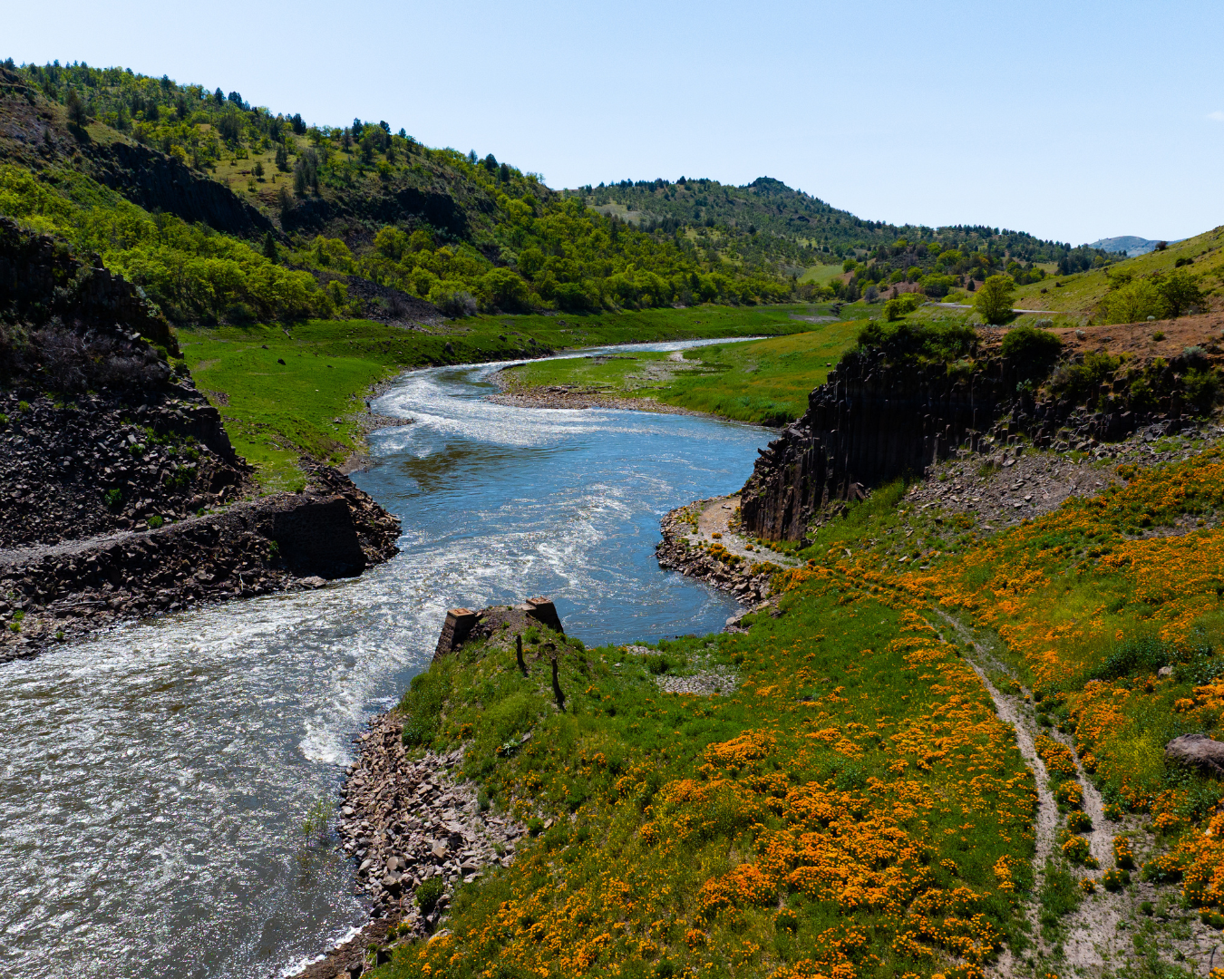 The Klamath River winds through a green, mountainous valley, with wildflowers covering the banks
