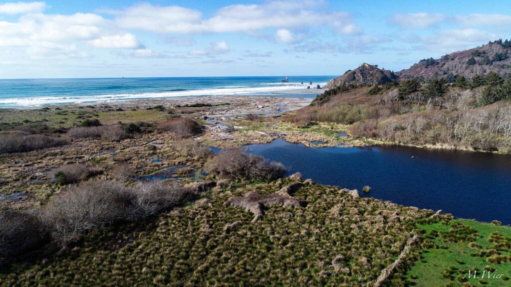Redwood Creek Estuary Restoration