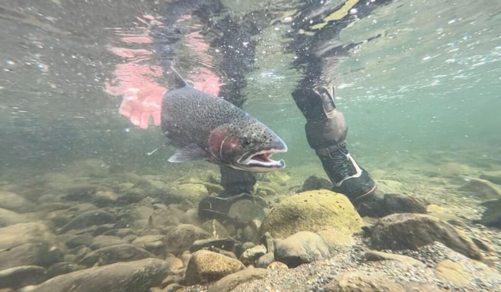Trinity River Trip
