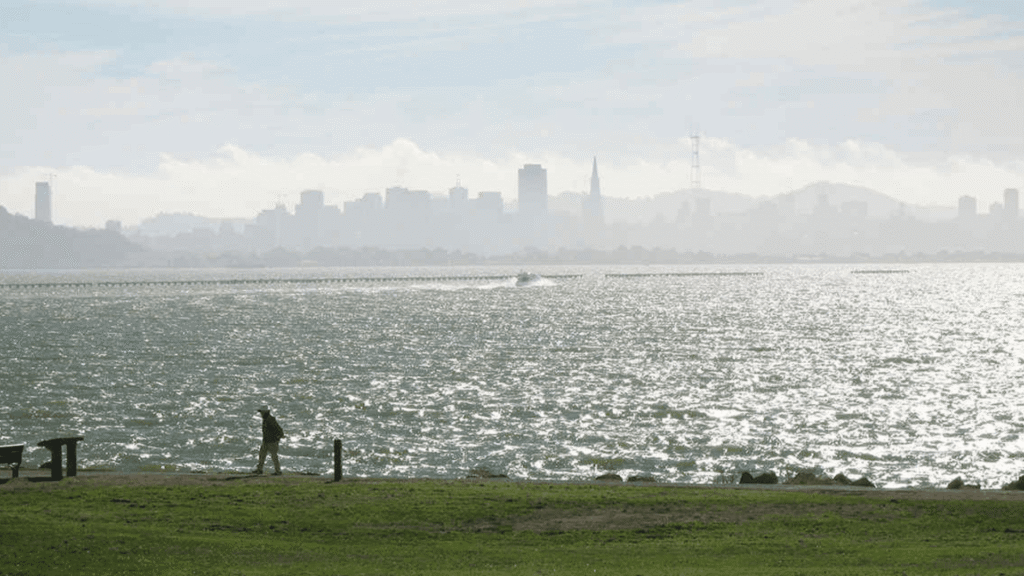 My Angle: Urban Waters Deserve Our Care and Protection