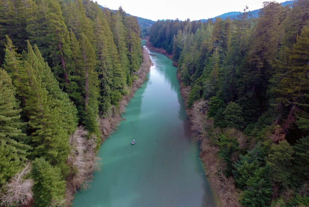 Using Sonar to Count Fish on the Eel River