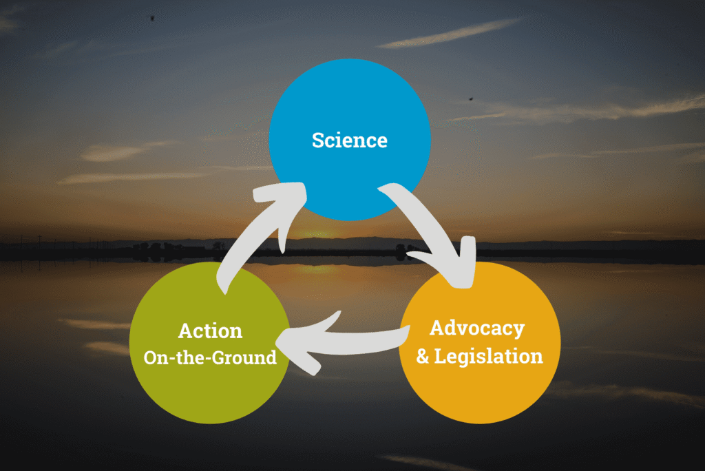 Science into Action