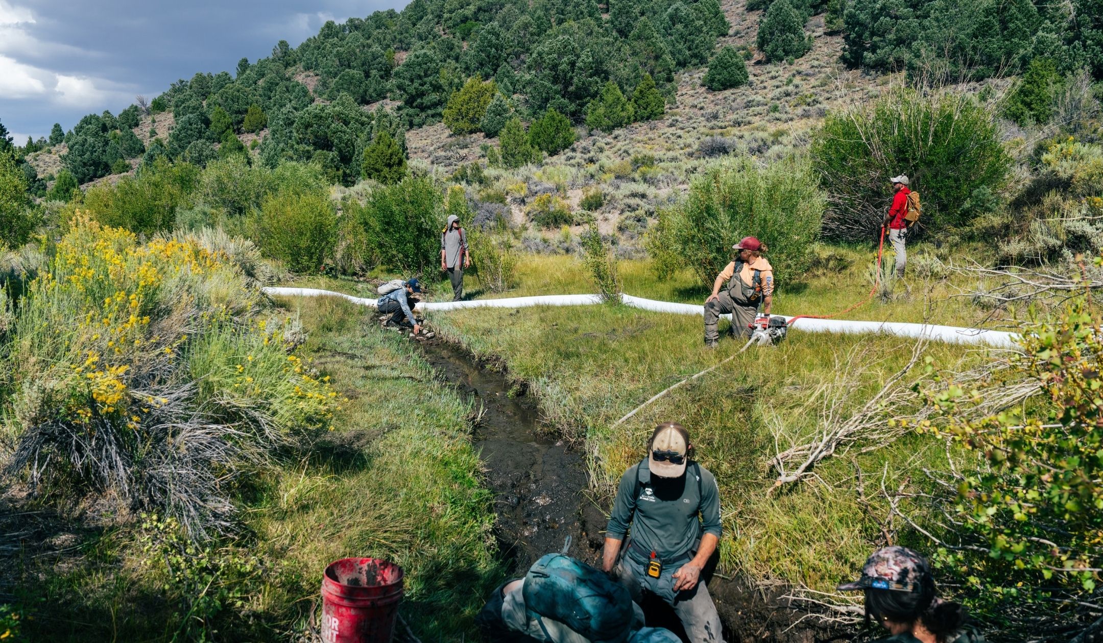 Stream by Stream: Bringing Lahontan Cutthroat Trout Home to the Eastern Sierra